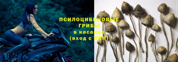 мет Алексин