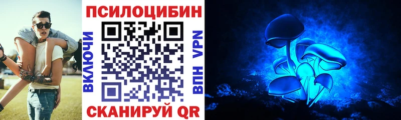 Псилоцибиновые грибы MAGIC MUSHROOMS  что такое   Заинск 