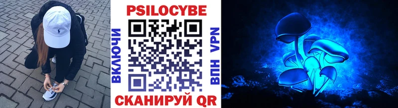 Псилоцибиновые грибы мицелий Заинск